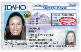 California Expired License Military